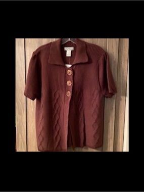 NWT! Isabella's Closet Brown Sweater | 1X